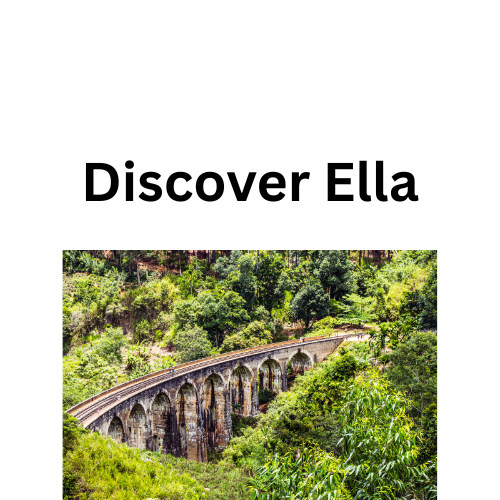 Discover Ella